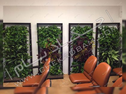 پارتیشن سبز جدا کننده فضای داخلی مطب گیاهان زنده برای تلطیف فضای داخلی معماری داخلی سبز مطب