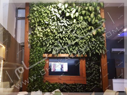دیوار سبز داخلی گرین وال دیوار زنده تهران