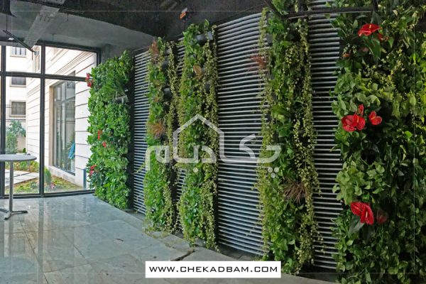 دیوار سبز علی بابا