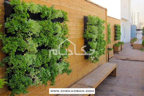 دیوار سبز جردن