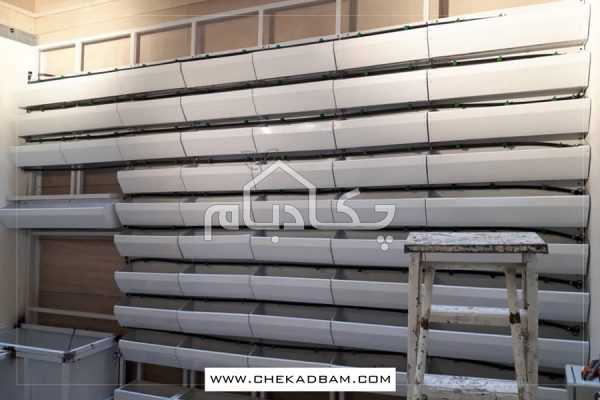 دیوار سبز آجودانیه