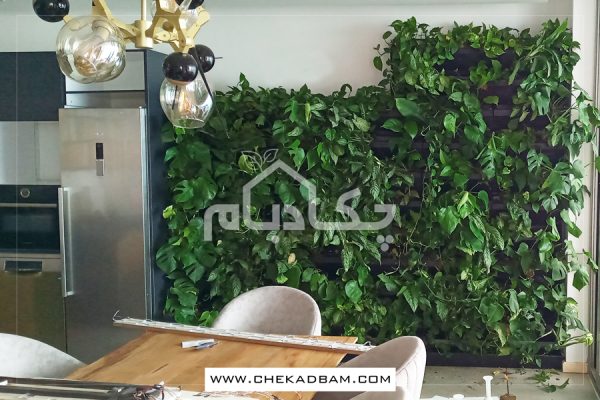 دیوار سبز آمل