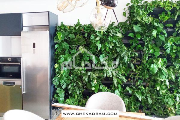 دیوار سبز آمل