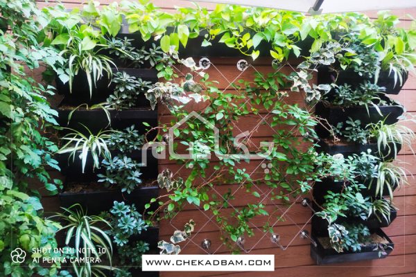 دیوار سبز بلوار کاوه