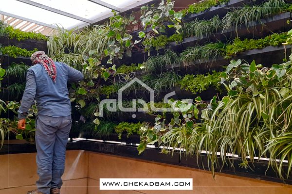 دیوار سبز جردن