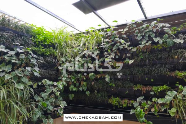 دیوار سبز جردن