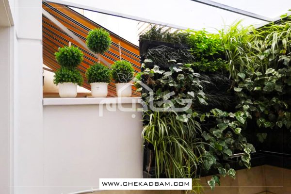 دیوار سبز جردن