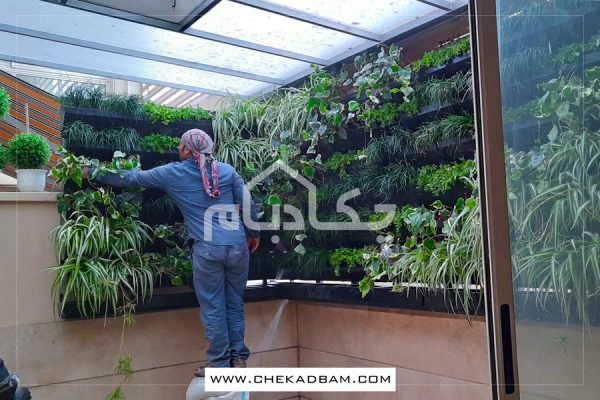 دیوار سبز جردن