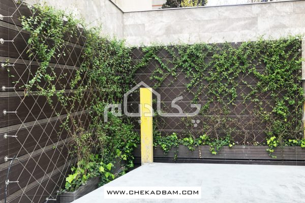 دیوار سبز دردشت