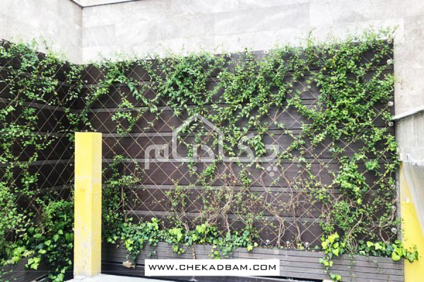 دیوار سبز دردشت