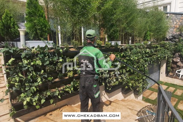 دیوار سبز دماوند