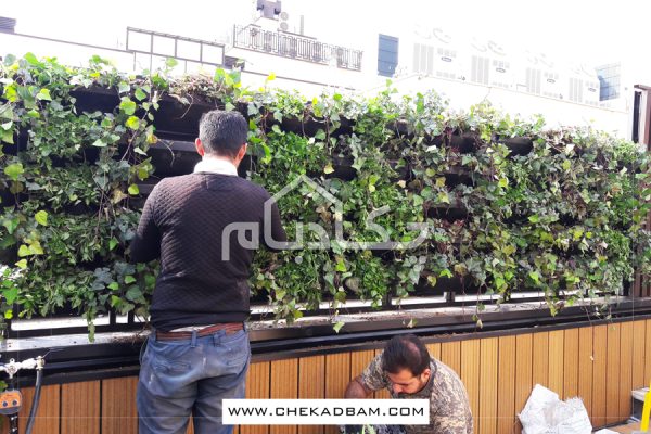 دیوار سبز ولنجک