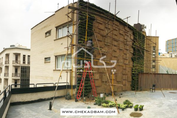 دیوار سبز ولنجک