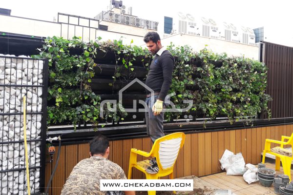 دیوار سبز ولنجک