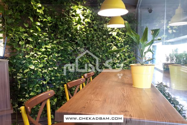 دیوار سبز کافه پلاتو