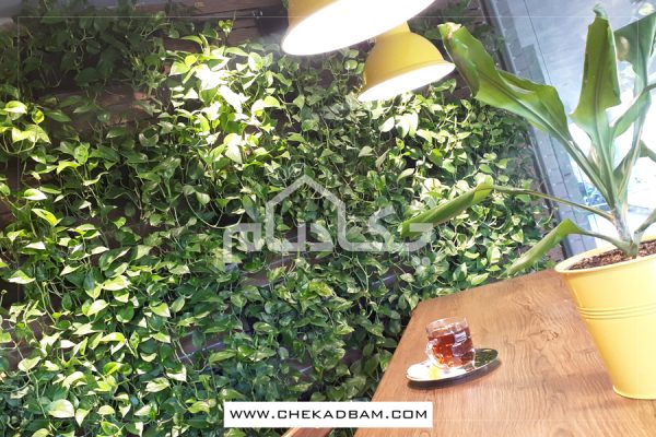 دیوار سبز کافه پلاتو