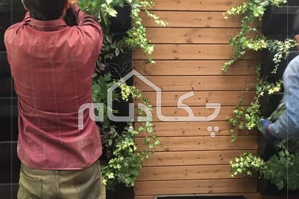 دیوار سبز گیشا