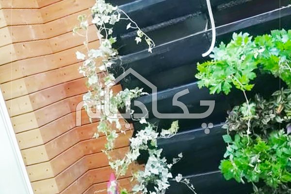 دیوار سبز گیشا