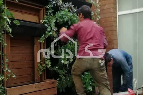 دیوار سبز گیشا