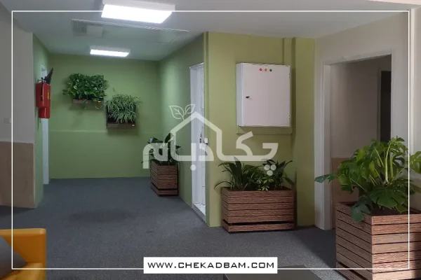 دیوار سبز دانشگاه شریف