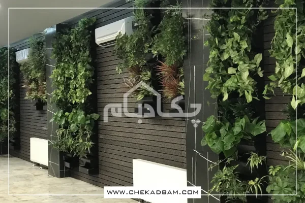 دیوار سبز شرکت مزه پروتئین | گیلاوند