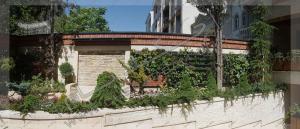 دیوار سبز green wall مدولار حیاط پوشش دیوار حیاط با انواع گیاه رونده و پوششی درخت کاج ستاره ای سرو مورد تهران قیطریه قلندری تهران