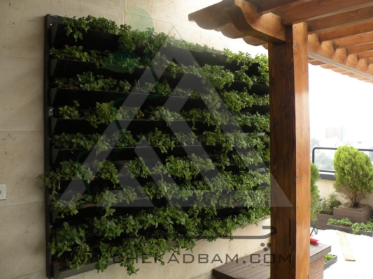 اجرای انواع دیوار سبز مدولار ترموود چوب پلاست