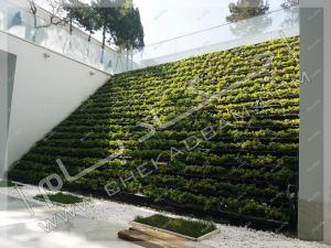 دیوار سبز شیب دار مدولار شهرک غرب تهران modular green wall