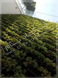 دیوار سبز شیب دار مدولار شهرک غرب تهران modular green wall