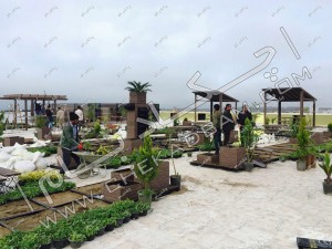 نمای کلی از اجرای روف گاردن در آمل پروژه در حال اجرا و کاشت گیاهان