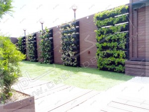 دیوار سبز مدولار چکادبام در پروژه رستوران بام کارگر تهران