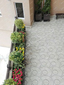 کاشت گل و گیاه و درختچه در فلاروباکس و گلدان چوبی در بالکن هتل