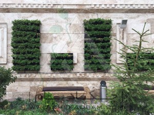 اجرای انواع دیوار سبز-مدولار-فلاورباکس-پوشش دیوار-آبیاری اتوماتیک-گیاه پوششی-گیاه رونده-فضای سبز عمودی  